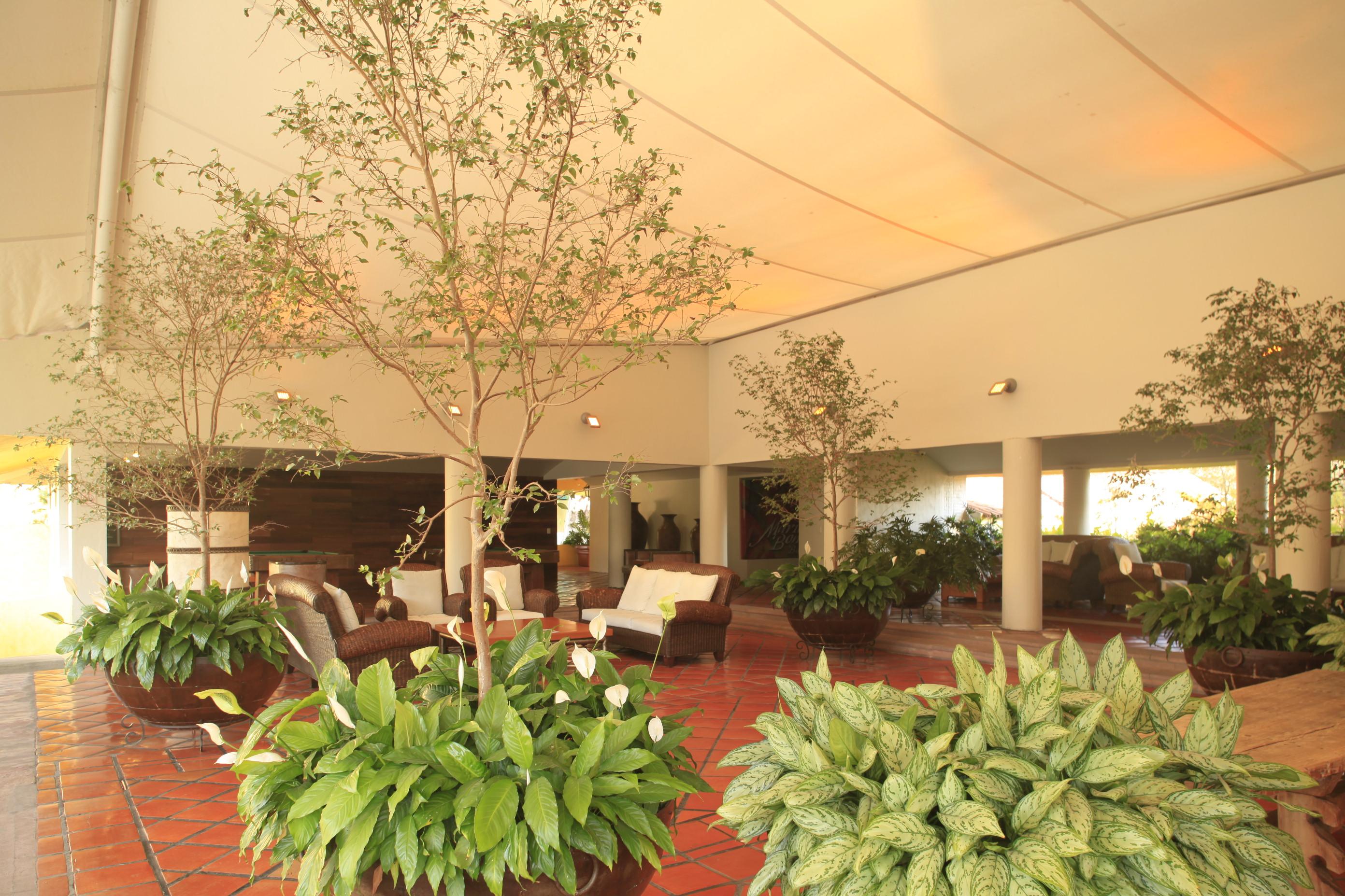 Real De Chapala Hotel Ajijic Kültér fotó